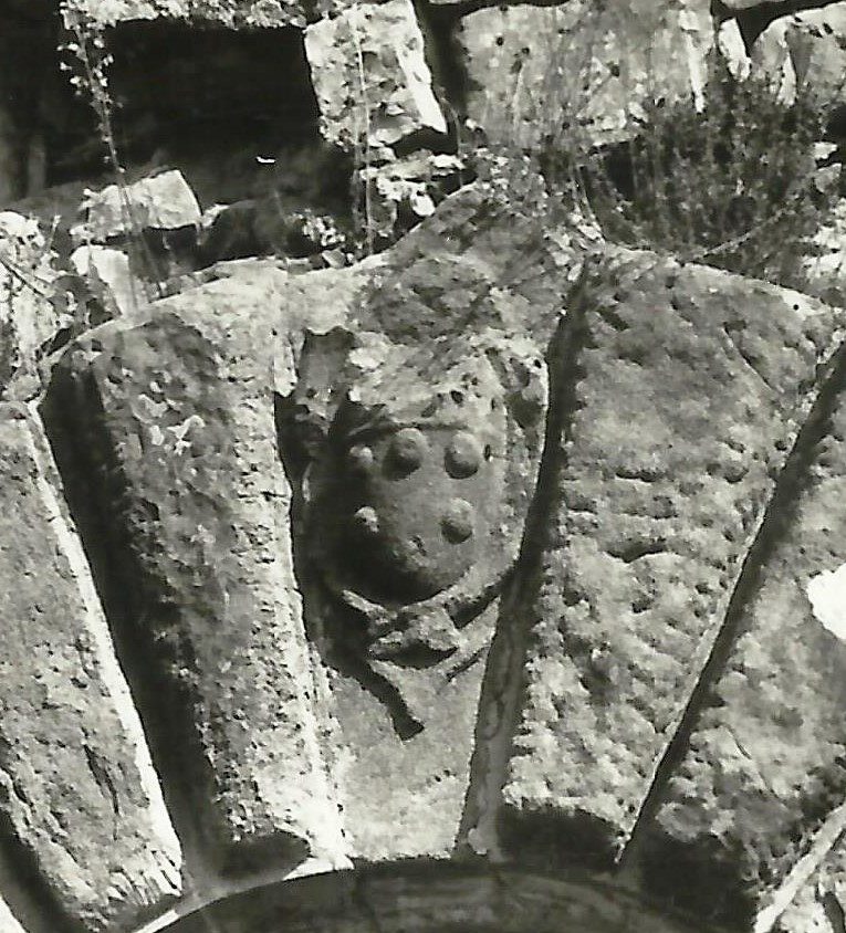 Particolare, stemma araldico della porta ovest di Castellina
