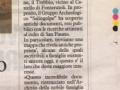 La Nazione Siena, 18 marzo 2014